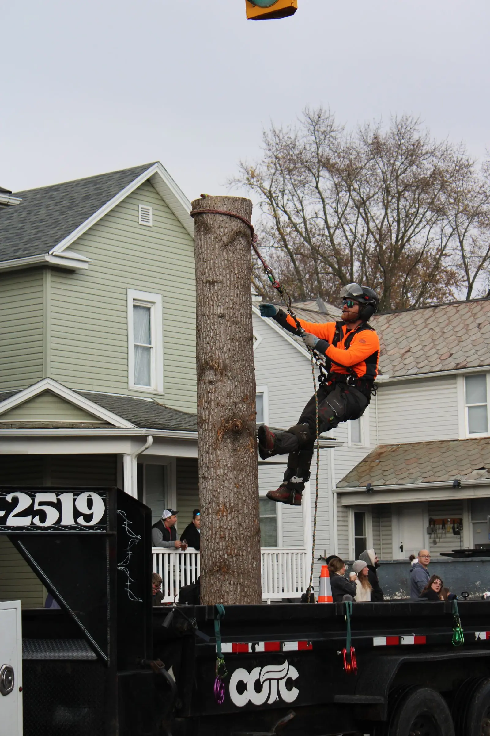 Climber on spurs ascending a tree trunk in front of a house