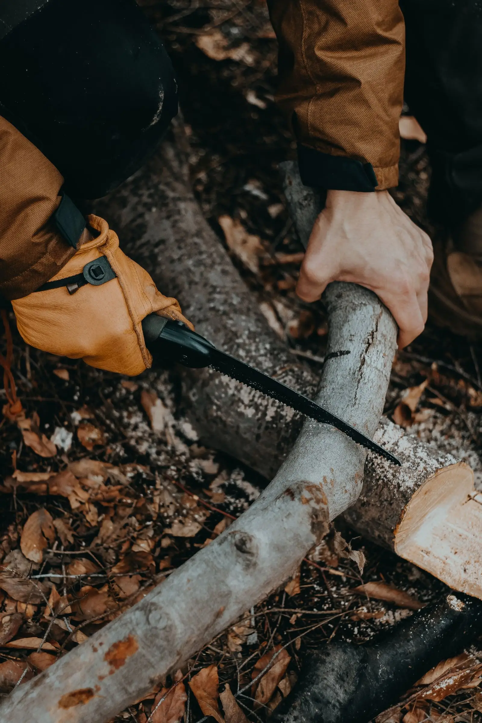 Gloved hands cutting a branch with a hand saw