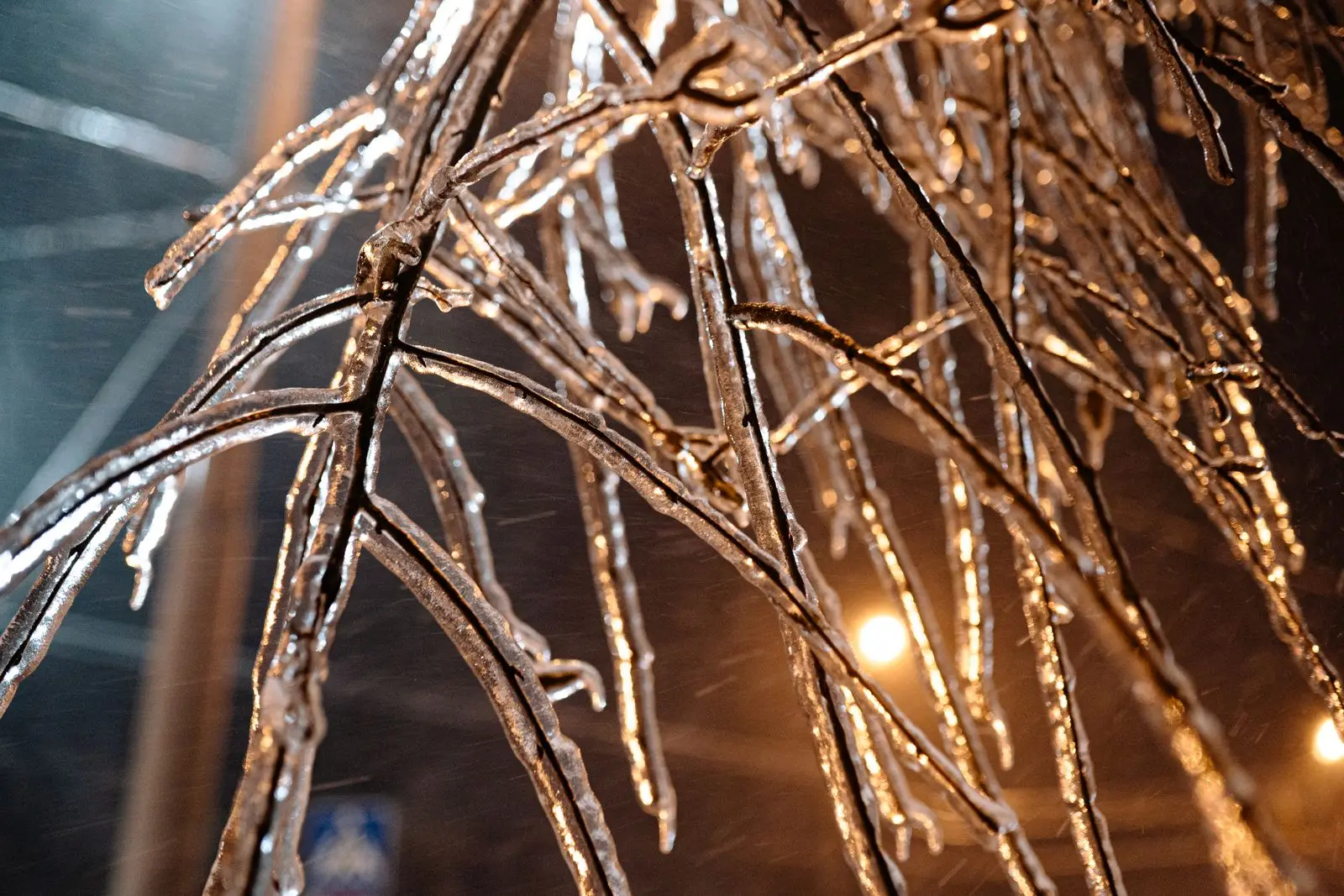Twigs glazed with ice after freezing rain