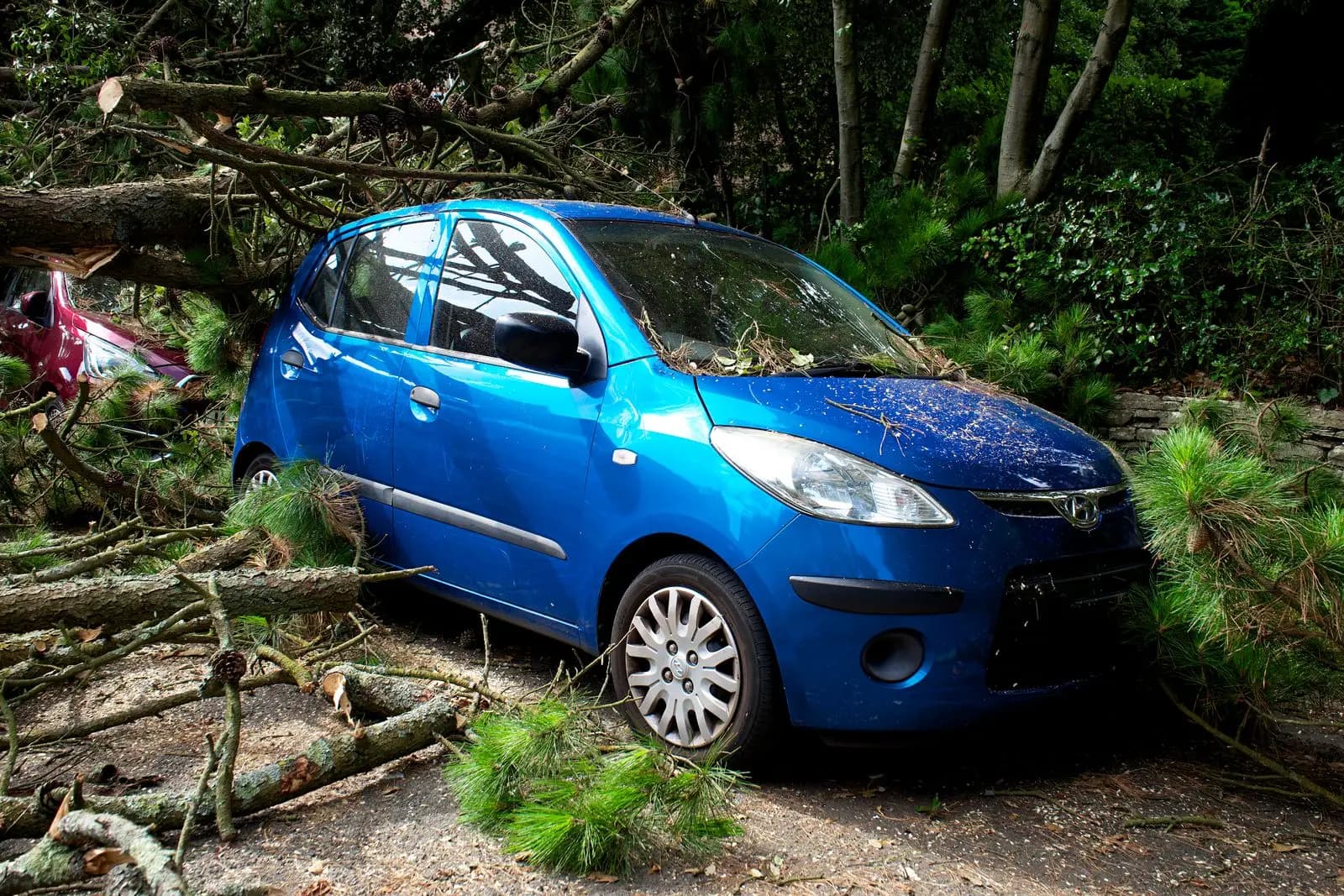 Broken branches covering a small car after a storm