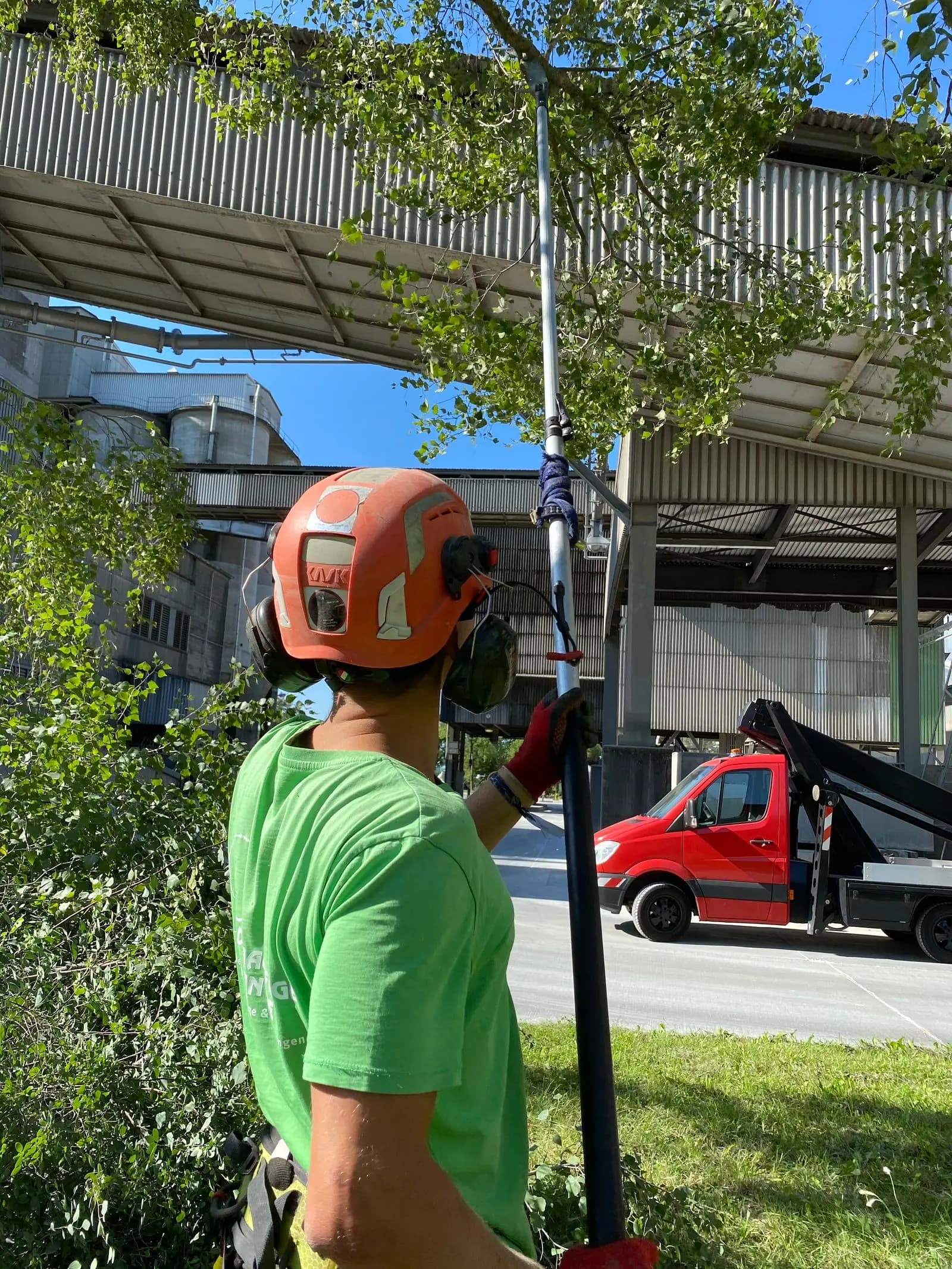 Worker in a helmet and ear protection holding a pole saw, with a lift truck behind
