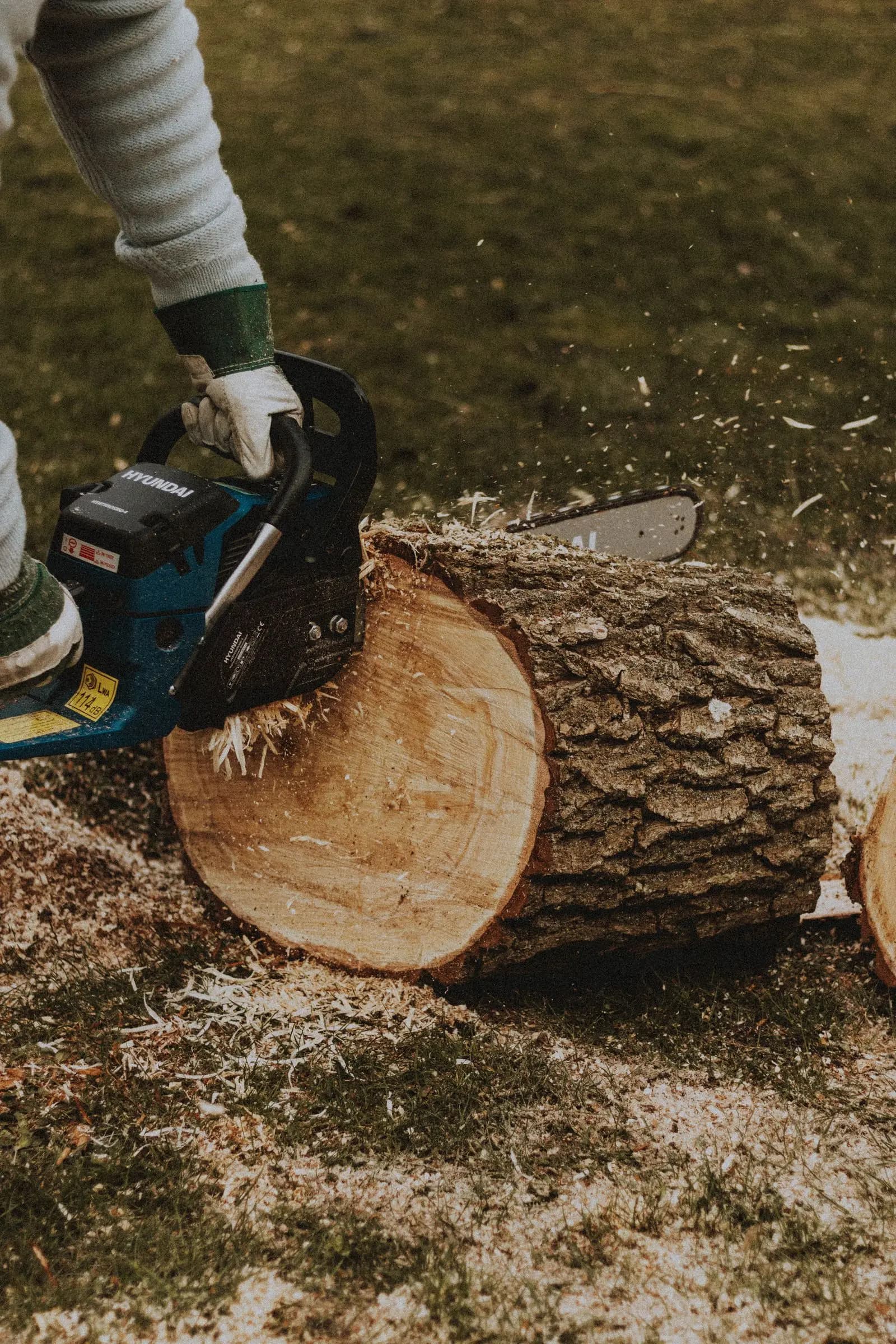 Chainsaw cutting through a thick log