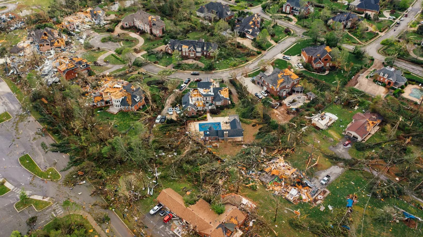 Aerial view of homes among stripped and fallen trees after a severe storm