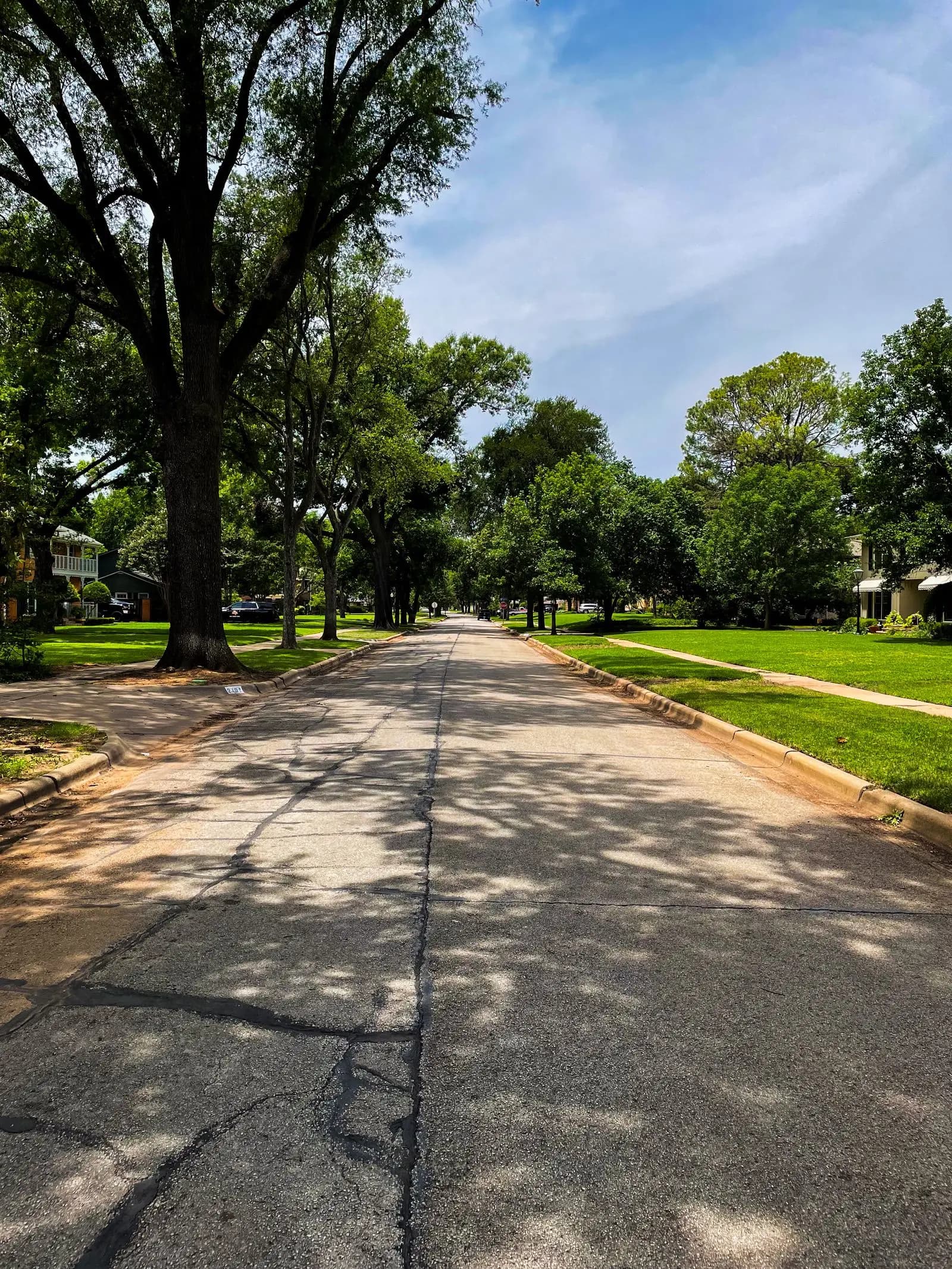 Residential street lined with mature shade trees