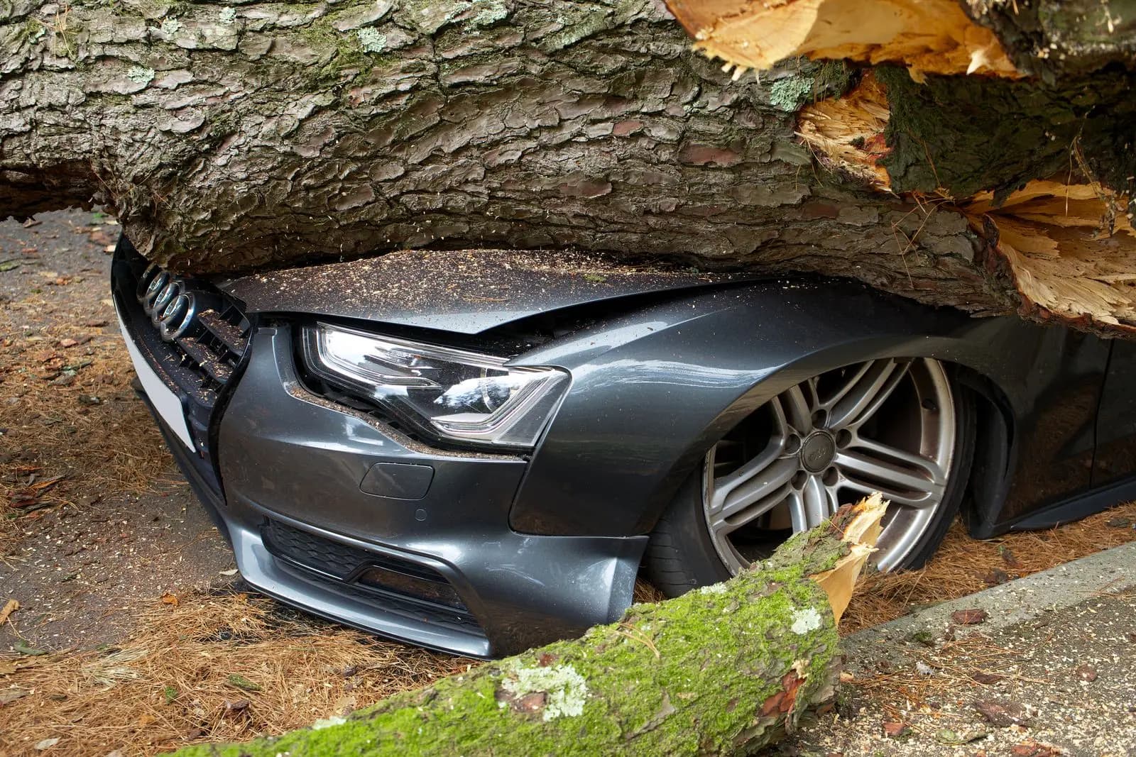 Heavy trunk resting on the hood of a car