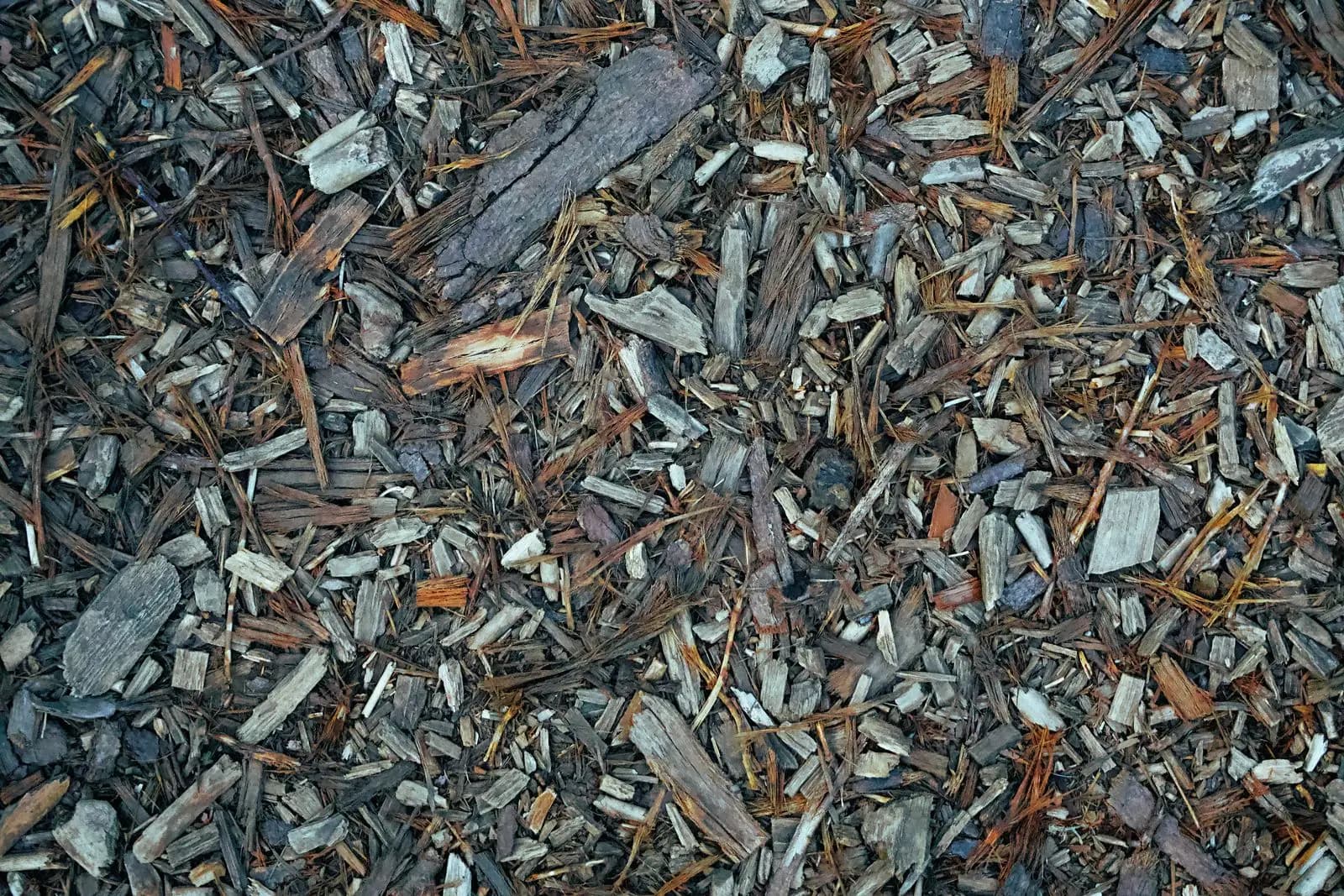 Ground covered in wood chips